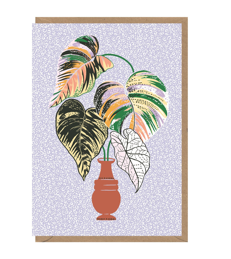 Terracotta Vase Card