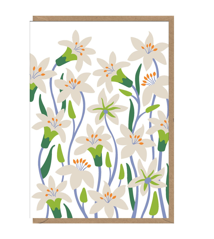 White Flowers by Nadia Taylor