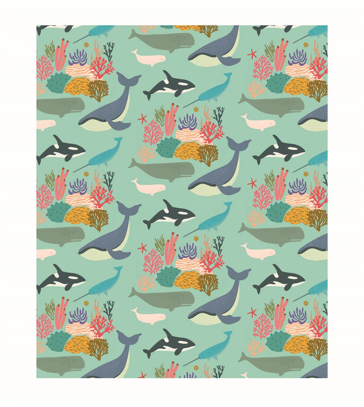 Whale Giftwrap by Elena Essex