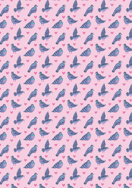 Kitsch Pigeons giftwrap
